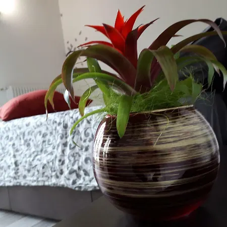 דירה Casa Gardenia *